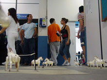 Antítese