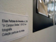In Campus Sttelae